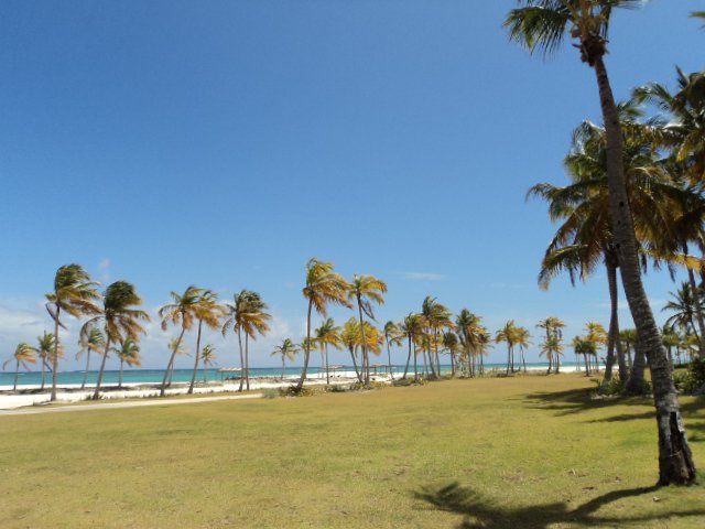slideshow
